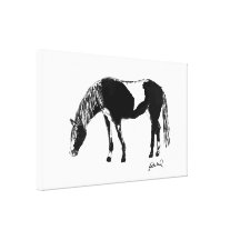 Pinto horse Wrapped Canvas Canvas Print