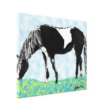 pinto horse Wrapped Canvas Stretched Canvas Prints