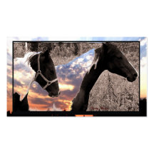 Pinto Horses Business Card (template)