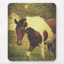 Pinto Mouse Pads