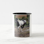 Pinto Paint Horse Mug