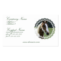 Pinto Pony Business Card
