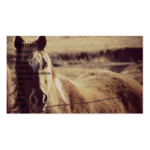 Pinto Pony Business Card Template