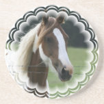 Pinto Pony Coasters