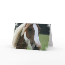 Pinto Pony Greeting Card