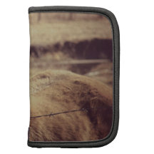Pinto Pony Planner
