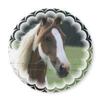 Pinto Pony Round Magnet