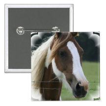 Pinto Pony Square Pin