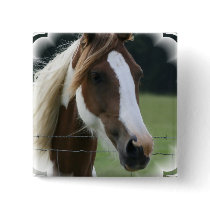 Pinto Pony Square Pin