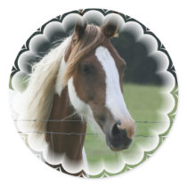 Pinto Pony Stickers