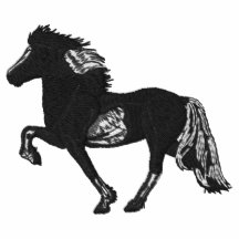 Pinto Tolt Embroidery