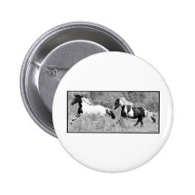 Pintos Galloping, Customizable