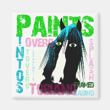 Pintos - Paint Horse gifts & greetings Magnet
