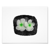 Pinwheel green circle  flower cutout photo art