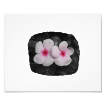 Pinwheel pink circle  flower cutout photographic print