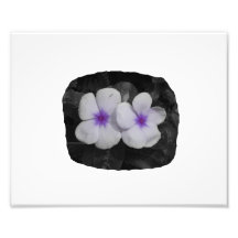 Pinwheel purple circle  flower cutout photographic print