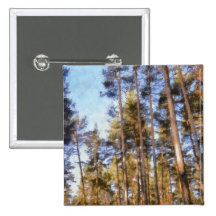 Piny forest