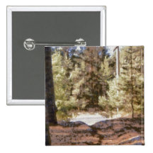 Piny forest