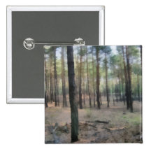 Piny forest