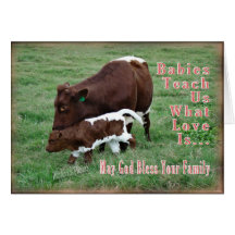 Pinzgauer- new baby-customize it greeting cards