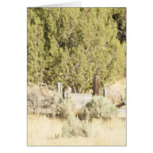 Pioneer Idaho Greeting Cards