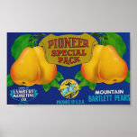 Pioneer special pack pears poster