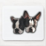 piper-pinocchio pair mousepads