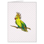 Pippin Parrot Greeting Cards