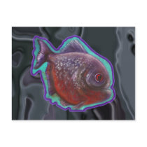 Piranha Fish Postcards