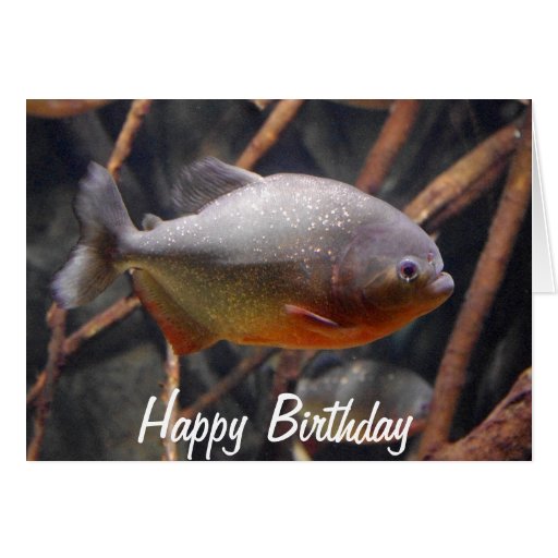 Piranha - Innocent Looking Brown Fish Greeting Card