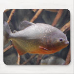 Piranha - Innocent Looking Brown Fish Mouse Pads