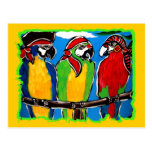 PIRATE PARROTS POST CARDS