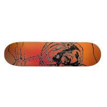 Pirate Skateboard