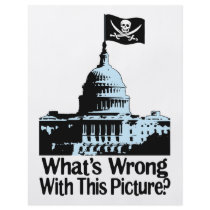 Pirates In Congress