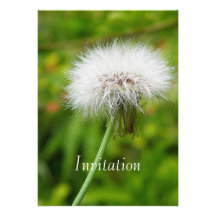 Pissenlit d'invitation
