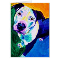 Pit Bull #1 cards