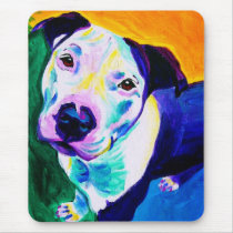 Pit Bull #1