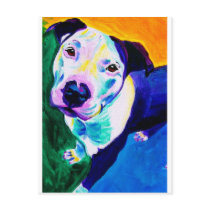 Pit Bull #1