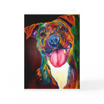 Pit Bull #2