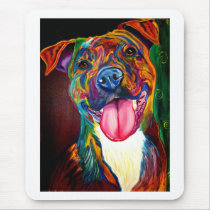 Pit Bull #2