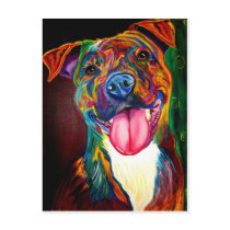 Pit Bull #2