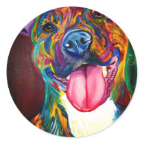 Pit Bull #2