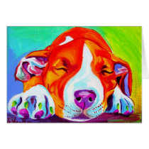 Pit Bull #7 cards
