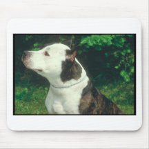 Pit Bull Mouse Pads