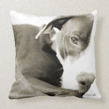 pit bull pillow