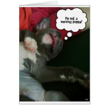 Pit bull products greeting cards