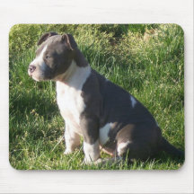 PIT BULL PUPPY MOUSE PADS