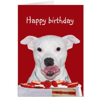Happy Birthday Pitbull Cards, Photocards, Invitations &amp; More
