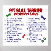 PIT BULL TERRIER PL2 POSTERS