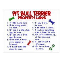 PIT BULL TERRIER Property Laws 2 Postcard